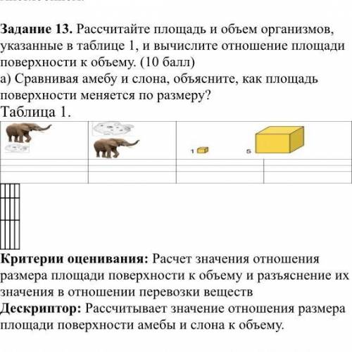 Рассчитайте площадь и объем организмов,указанные в таблице 1,и высислите отношение площали поверхнос