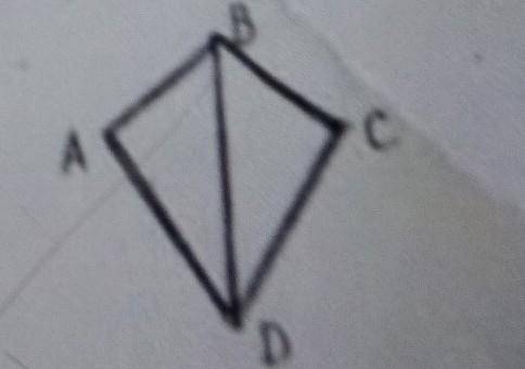 На рисунке треугольник ABD= треугольнику CBD, AD=DC, угол ABC= 110°,угол BAD = 90° Найдите угол ABD