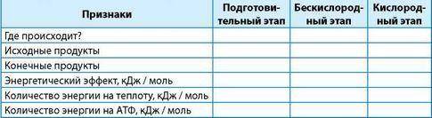 Этапы расщепления питательных веществ на примере углеводов