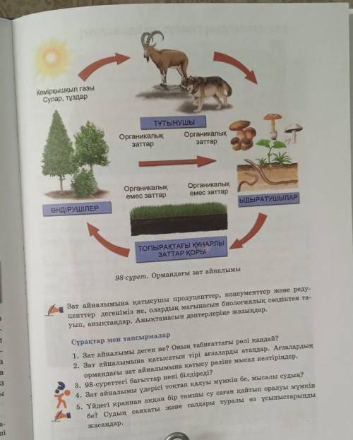 1.ЗАТ АЙНАЛЫМЫ ДЕГЕН НЕ? 2. ОНЫҢ ТАБИҒАТТАҒЫ РӨЛІ ҚАНДАЙ?3. ЗАТ АЙНАЛЫМЫНА ҚАТЫСАТЫН ТІРІ АҒЗАЛАРДЫ