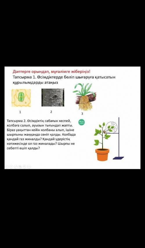 7сынып биология керек ​