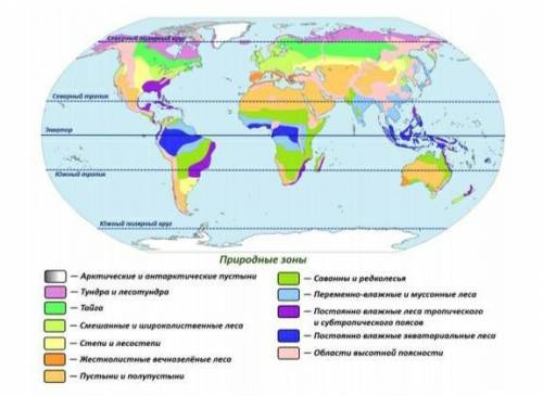 ЗА ТРУД ОЧЕНЬ карта природных зон ( нарисовать своими руками и раскрасить)​