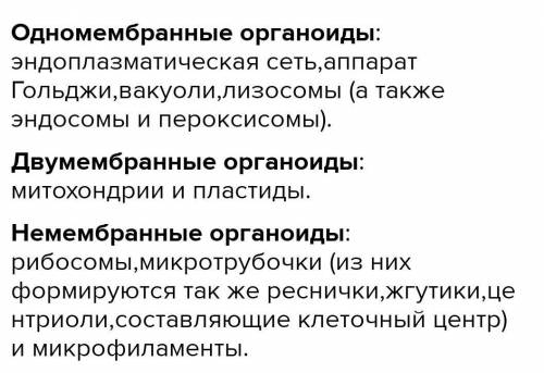 ответьте на вопросы: 1) Чем отличаются клетки разных организмов?2) Определите на рисунке митохондрии