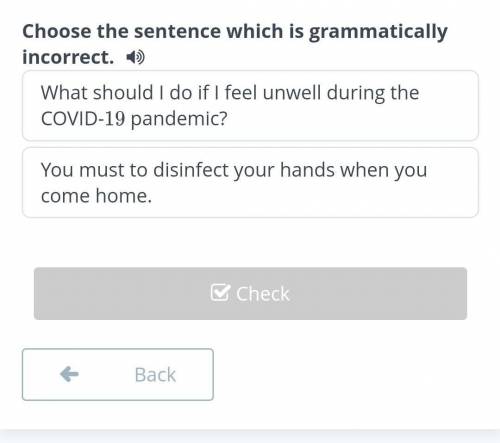 Choose the sentence which is grammatically incorrect​​