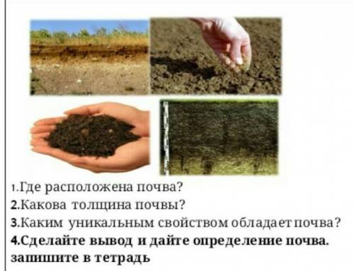 Где расположена почва? Какова толщина почвы? Каким уникальным свойством она обладает? сделайте вывод