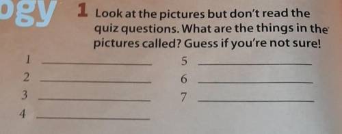 1 Look at the pictures but don't read the quiz questions. What are the things in thepictures called?