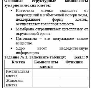 Заполните таблицу клетка растительная клетка животная клетка компоненты клеток функция