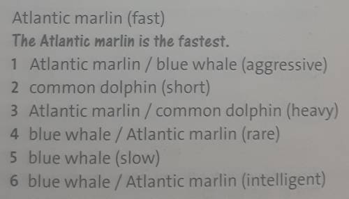 Atlantic marlin (fast) The Atlantic marlin is the fastest.1 Atlantic marlin / blue whale (aggressive