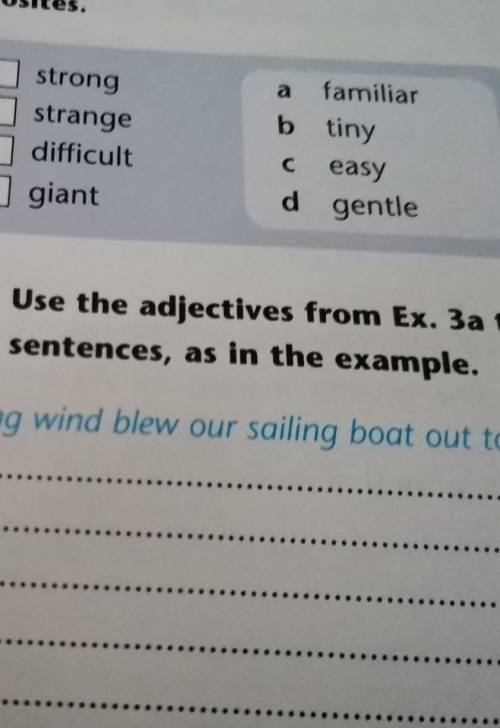 Use the adjectives from Ex. 3a to make sentences, as in the example.​