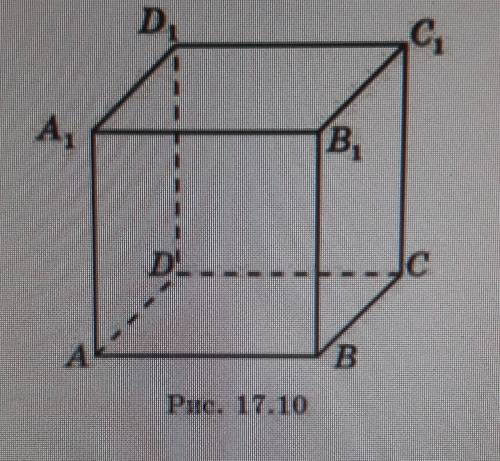 Найдите двухгранные углы , образованные соседними гранями куба (рис. 17. 10): ❗​