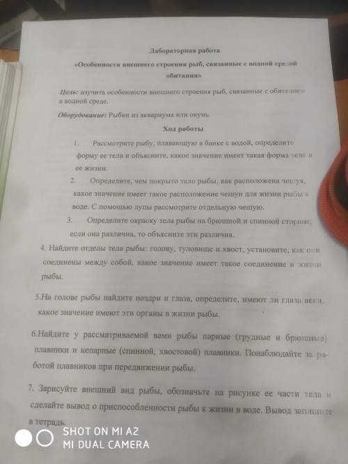 сделать: Лабораторная работа по биологии 7 класс особенности внешнего строения рыб связанные с обита