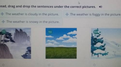 Read, drag and drop the sentences under the correct pictures. The weather is cloudy in the picture.T