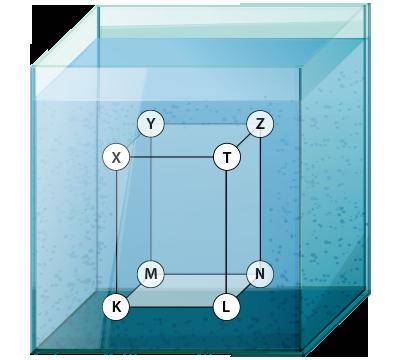 В куб с водой погрузили брусок.Определи, одинаковое ли давление испытывает брусок в точках K и Z.Выб