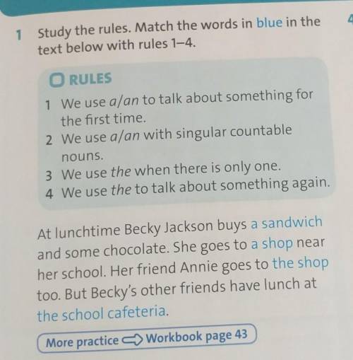 1 Study the rules. Match the words in blue in the text below with rules 1-4. O RULES 1 We use a/an t