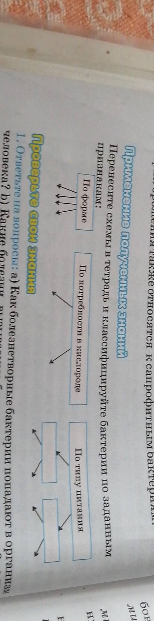 перенесите схему в тетрадь и классифицируйте бактерии по заданным признакам по форме потребности в к