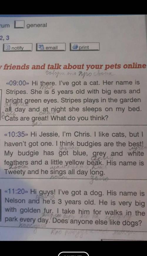 ответить на вопросы: 1. What does Jessie's cat look like?2. What does Chris's budgie do every day?3.