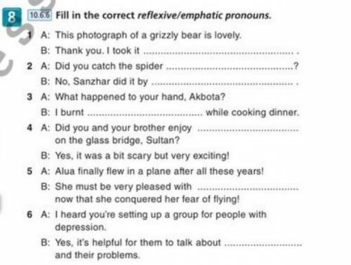 Fill in the correct reflexive/emphatic pronouns