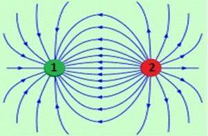 На рисунку зображено картину силових ліній електричного поля, створеного системою двох точкових заря