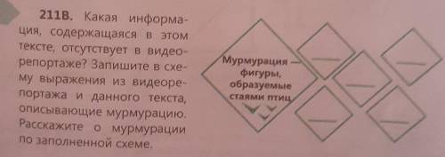 Текст: Мурмурацией называют природное явление, когда тысячи Скворцов сбиваются в громадные стаи, кот