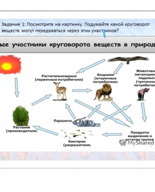 посмотрите на картинку подумайте какой круговорот веществ могут передаваться через этих участников?