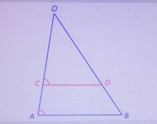 Найти отношение OD:BD если CA:CO = 2:3 варианты: 2:3, 3:2, 2:5, 3:5 скажите ответ сразу