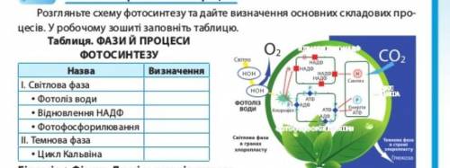 До ть будь-ласка виконати ось це:​