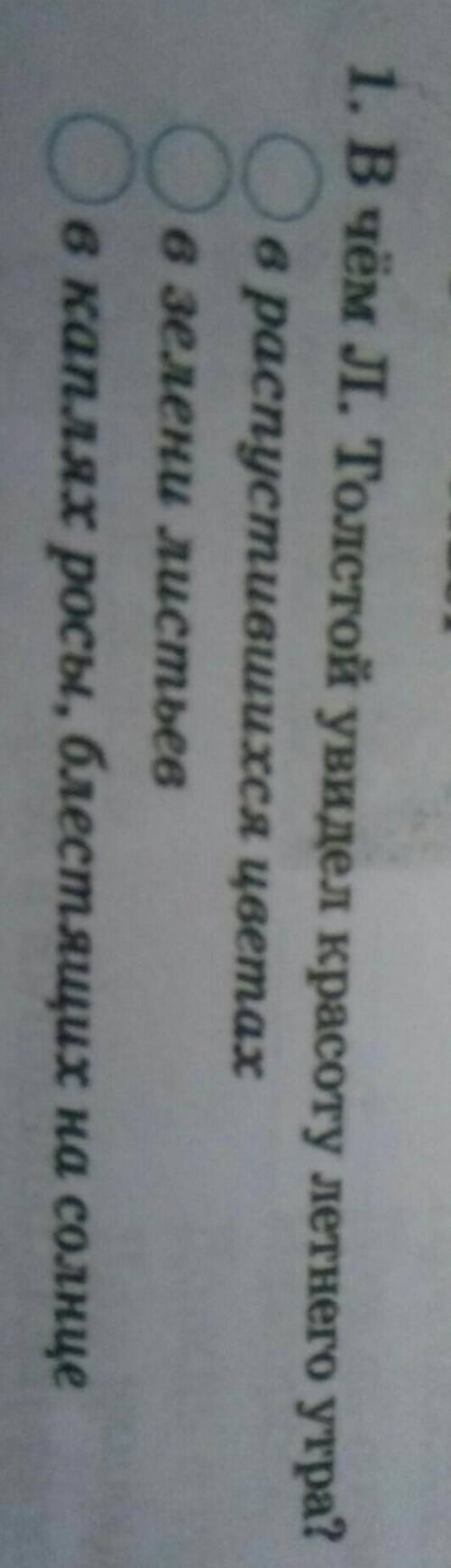 2. Вопрос - ответ 1. В чём Л. Толстой увидел красоту летнего утра?в распустившихся цветахв зелени ли