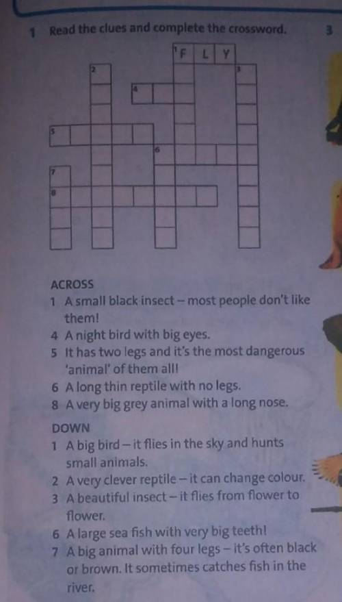 Read the dues and complete the crossword ACROSS1 A small black insect - most people don't like4 A ni