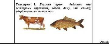 Тапсырма 1. Берілген сурет  бойынша тірі ағзалардың қоректену, көбею, даму, зат алмасу, үдерістерін