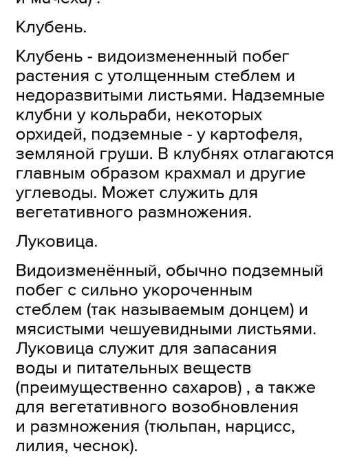 1) Чем подземные видоизмененные побеги отличаются от корней? 2) Какие видоизменения надземных побего