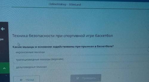 Техника безопасности при спортивной игре баскетбол Какие мышцы в основном задействованы при прыжках