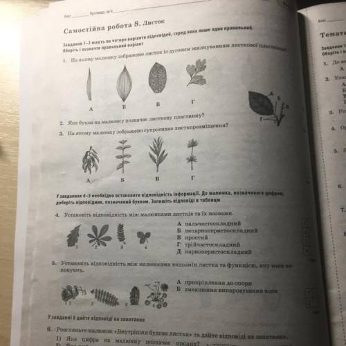 Самостійна робота 8. Листок Завдання 1-3 мають по чотири варіанти відповідей, серед яких лише один п