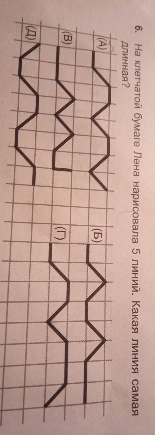 На клетчатой бумаге Лена нарисовала 5 линий. Какая линия самая длинная? ответьте нужно с обьяснением