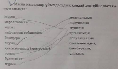 Мына мысалдар үйымдасудың қандай деңгейіне жататын нын анықта:жүрекмолекулалықмарал табынымұхитинфуз