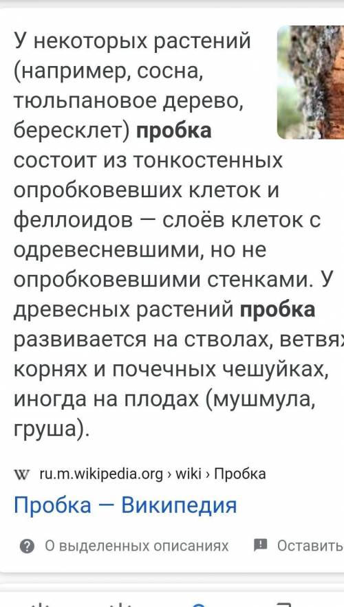 Состав пробки скажите