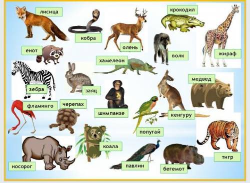 Выписать в алфавитном порядке названия животных