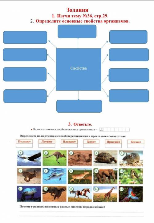 1. Изучи тему №36, стр.29.2. Определите основные свойства организмов.3. ответьте.​