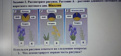 Сделайте задание. Умоляю только сделайте