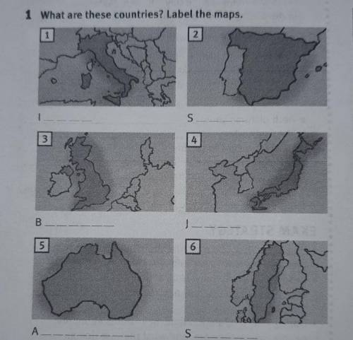 What are these countries? Label the maps.​