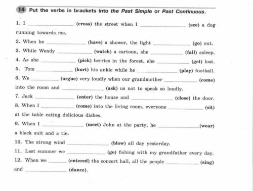 английский язык (Past simple past continuos)