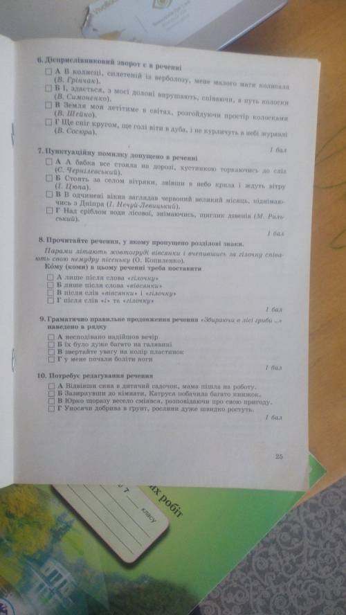 Пунктуаційну помилку допущено в реченні