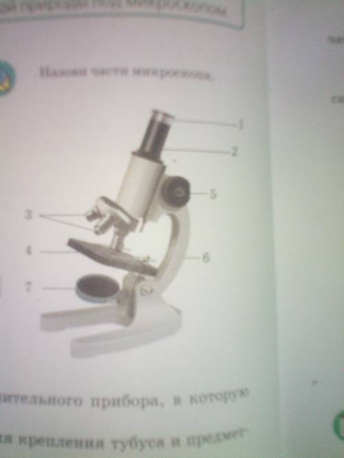 Поогите с заданием назвать части микроскопа
