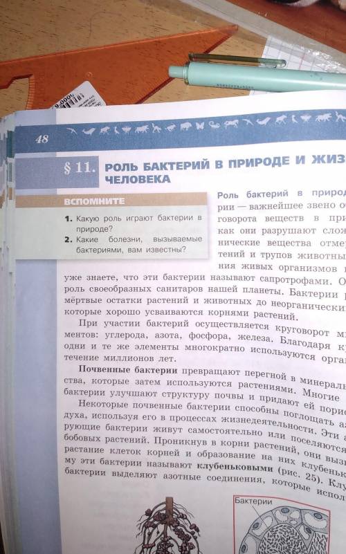 1. Какую роль играют бактерии в природе?2. Какие болезни, вызываемыебактериями, вам известны? помаги