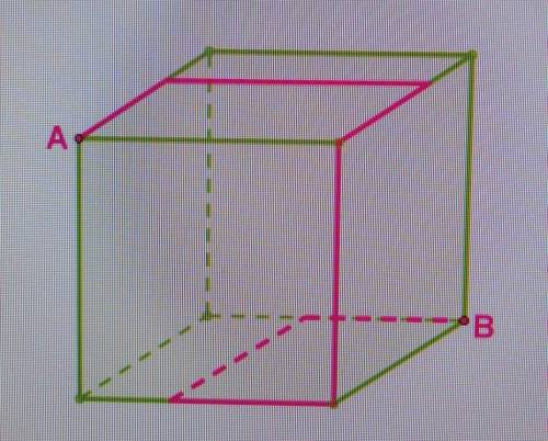 Муха ползает по поверхности куба вдоль красной линии от точки A к точке B. к Определить длину Ну про
