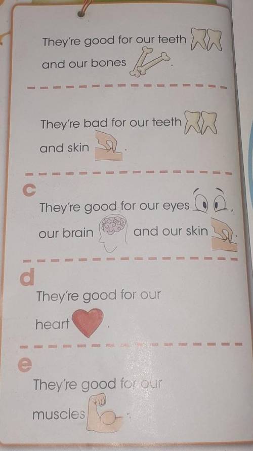 They're good for our teeth and our bonesThey're bad for our teethand skinThey're good for our eyesou