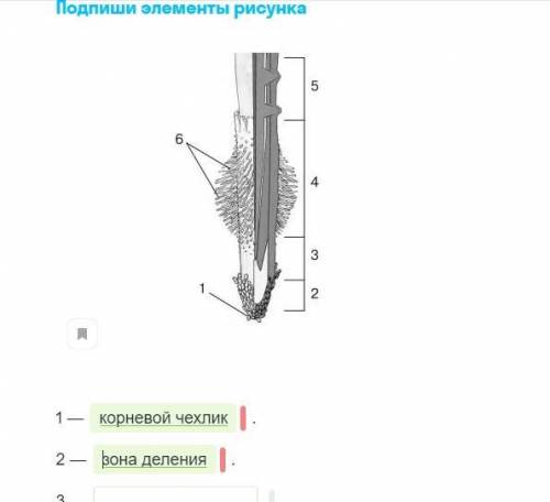 Подпишите элементы рисунка