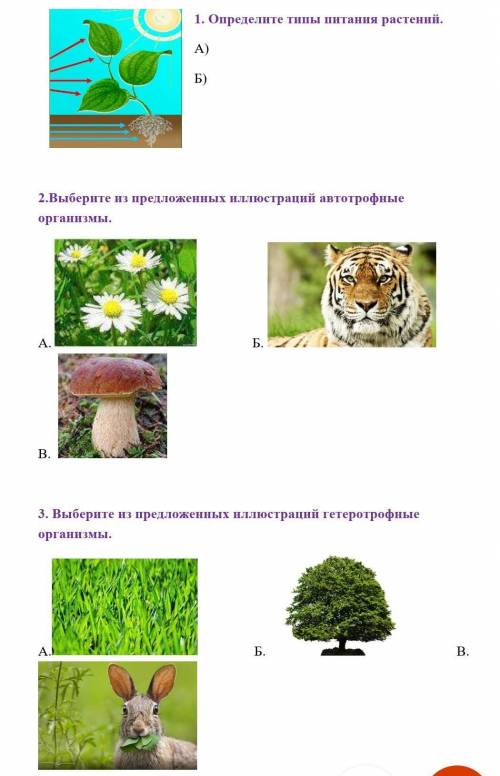 1) определите типы питания растений 2) выберите из предложенных иллюстраций автотрофные организмы 3)