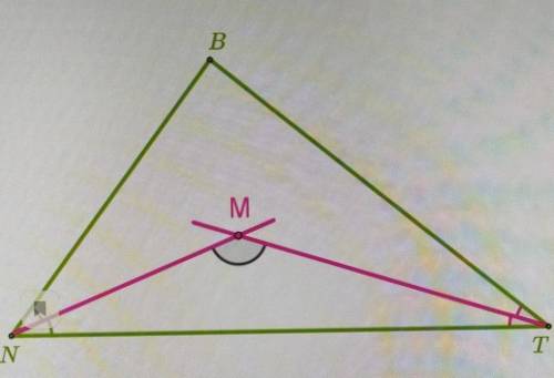 Дан треугольник NBT и биссектрисы углов TNB и BTN. Определи угол пересечения биссектрис NMT, если TN