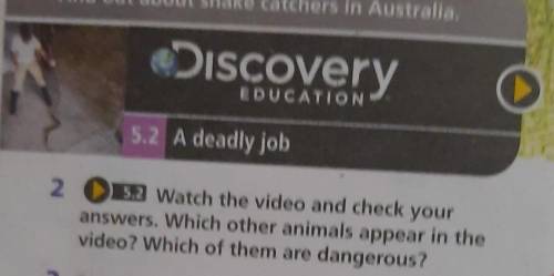 2 5.2 Watch the video and check your answers. Which other animals appear in thevideo? Which of them