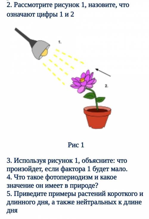 Рассмотрите рисунок 1 назовитеччто означает цифры